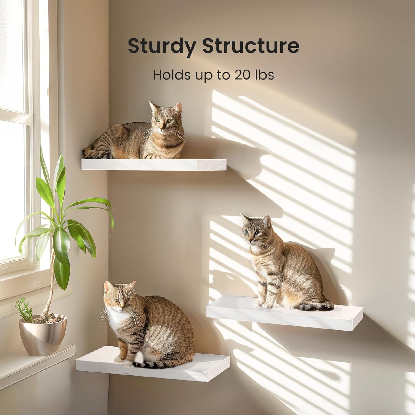Set of 3 White Floating Shelves – Wall Shelves with Invisible Brackets for Bathroom, Living Room, Bedroom, Kitchen Decor
