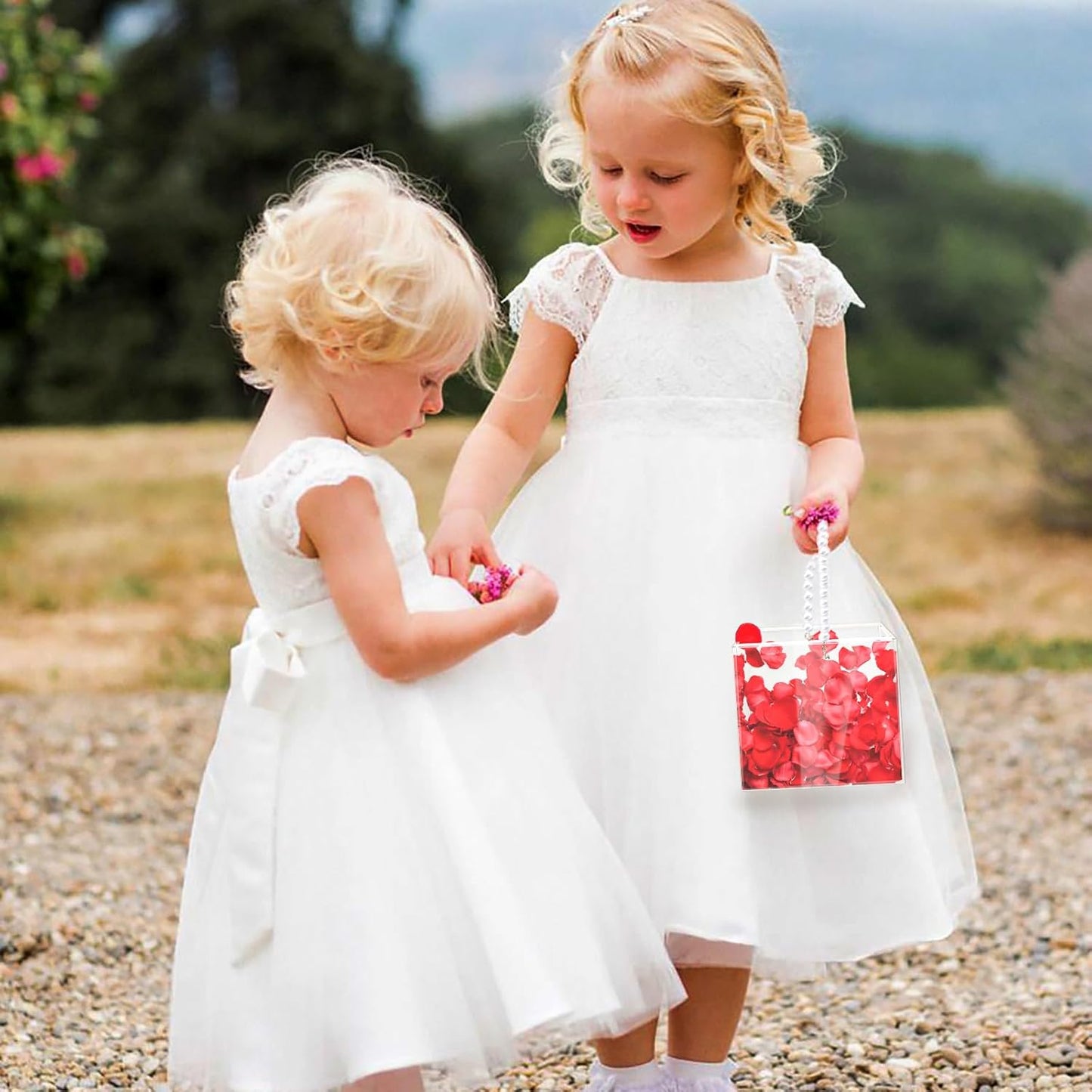 Acrylic Flower Girl Basket with Ribbon – Wedding Petals & Confetti Holder (Plastic)